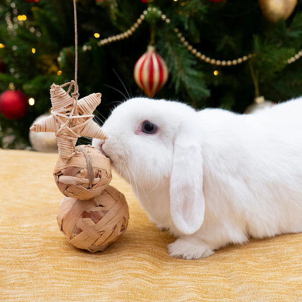 Rosewood Naturals Cupid and Comet Water Hyacinth Trio Tree Rabbit Toy