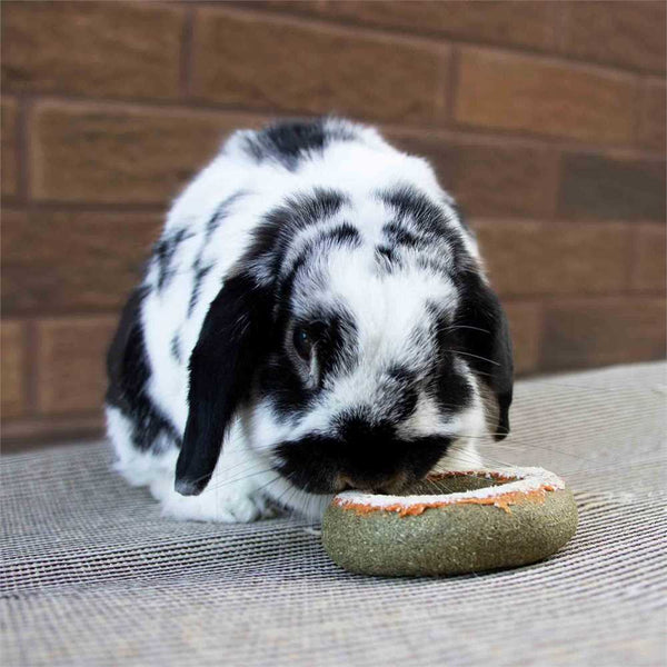 Rosewood Naturals Treat 'n' Gnaw Donuts Treat for Rabbits