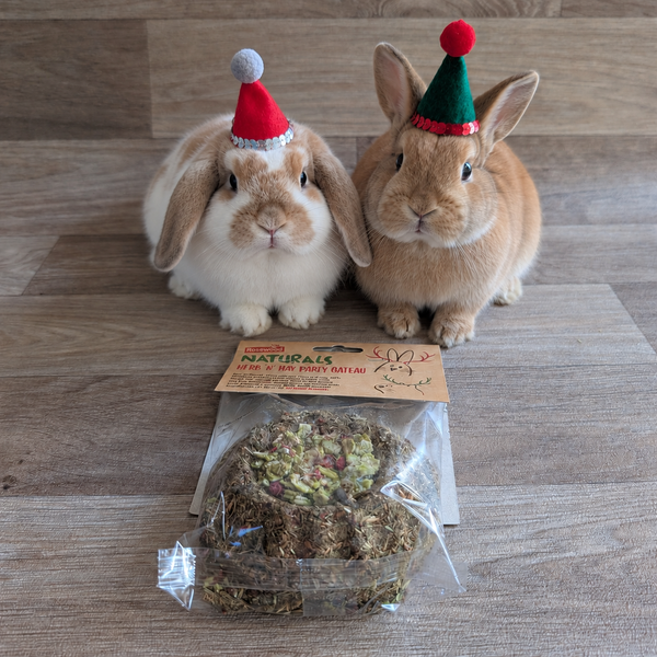 Rabbit Christmas Cake | Rosewood Herb 'n' Hay Gateau