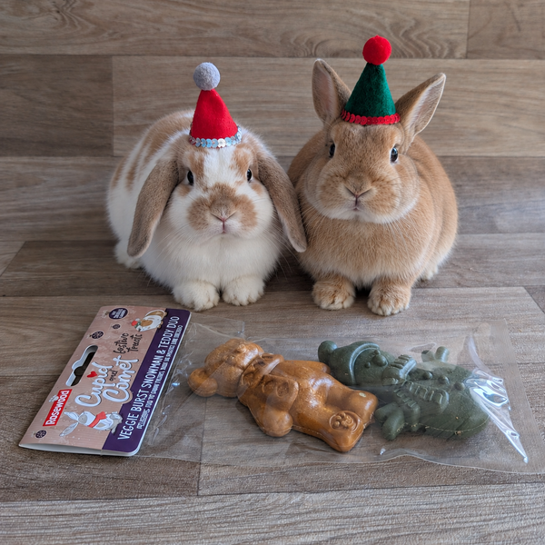 Rabbit Christmas Treats | Rosewood Snowman & Teddy Duo
