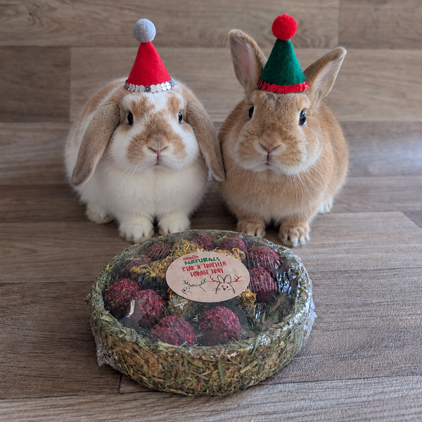 Rabbit Christmas Forage Tray | Rosewood Star 'n' Truffles