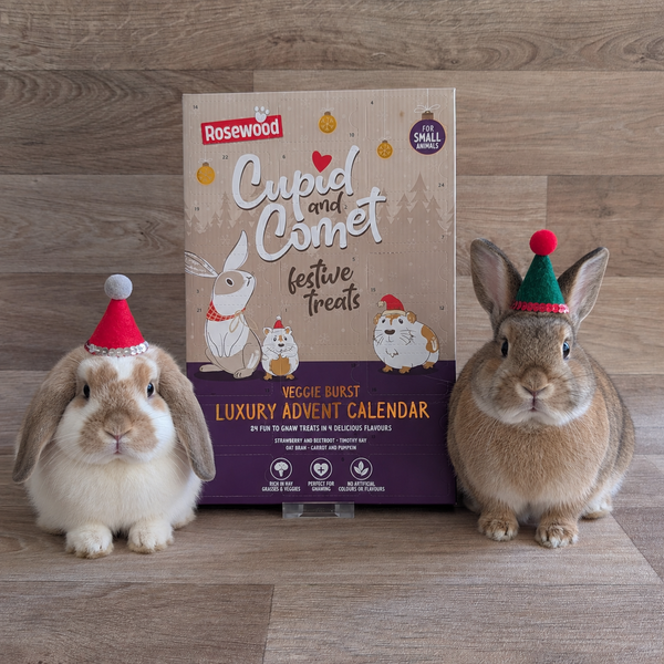 Rosewood Cupid & Comet Veggie Burst Luxury Advent Calendar for Rabbits
