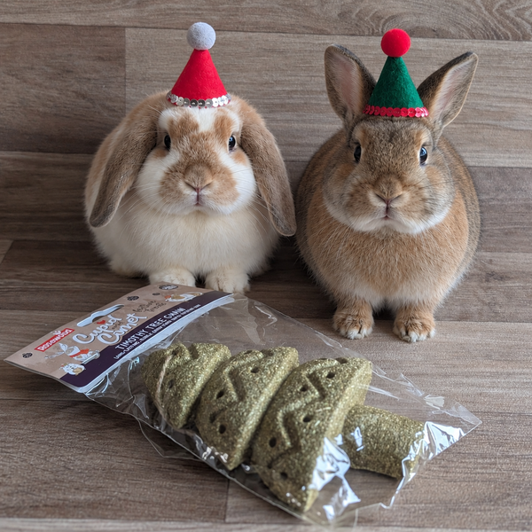 Rosewood Cupid & Comet Timothy Christmas Tree Gnaw for Rabbits