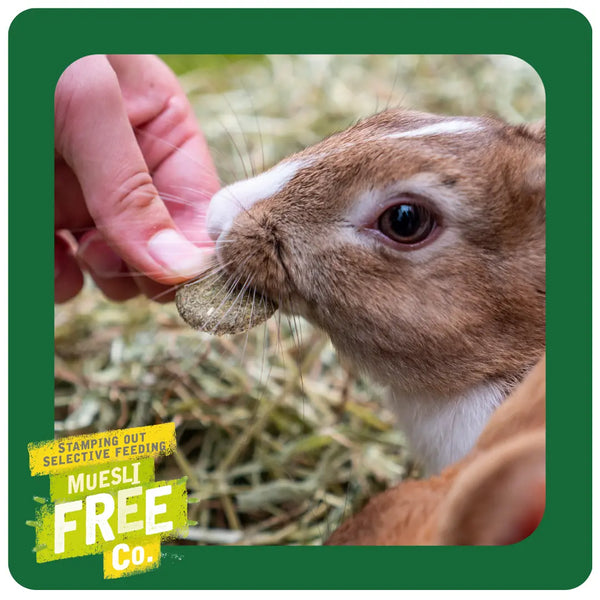 Burgess Excel Nature Snacks Forage & Feast Bar with Marigold Rabbit Treats