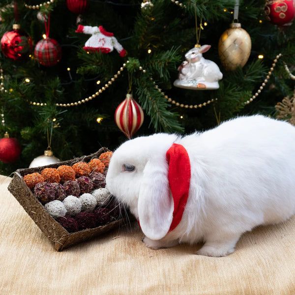 Rosewood Naturals Advent Gift 'N' Forage Truffle Tray Rabbit Treat