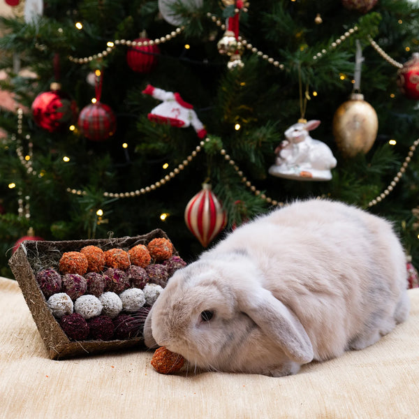 Rosewood Naturals Advent Gift 'N' Forage Truffle Tray Rabbit Treat