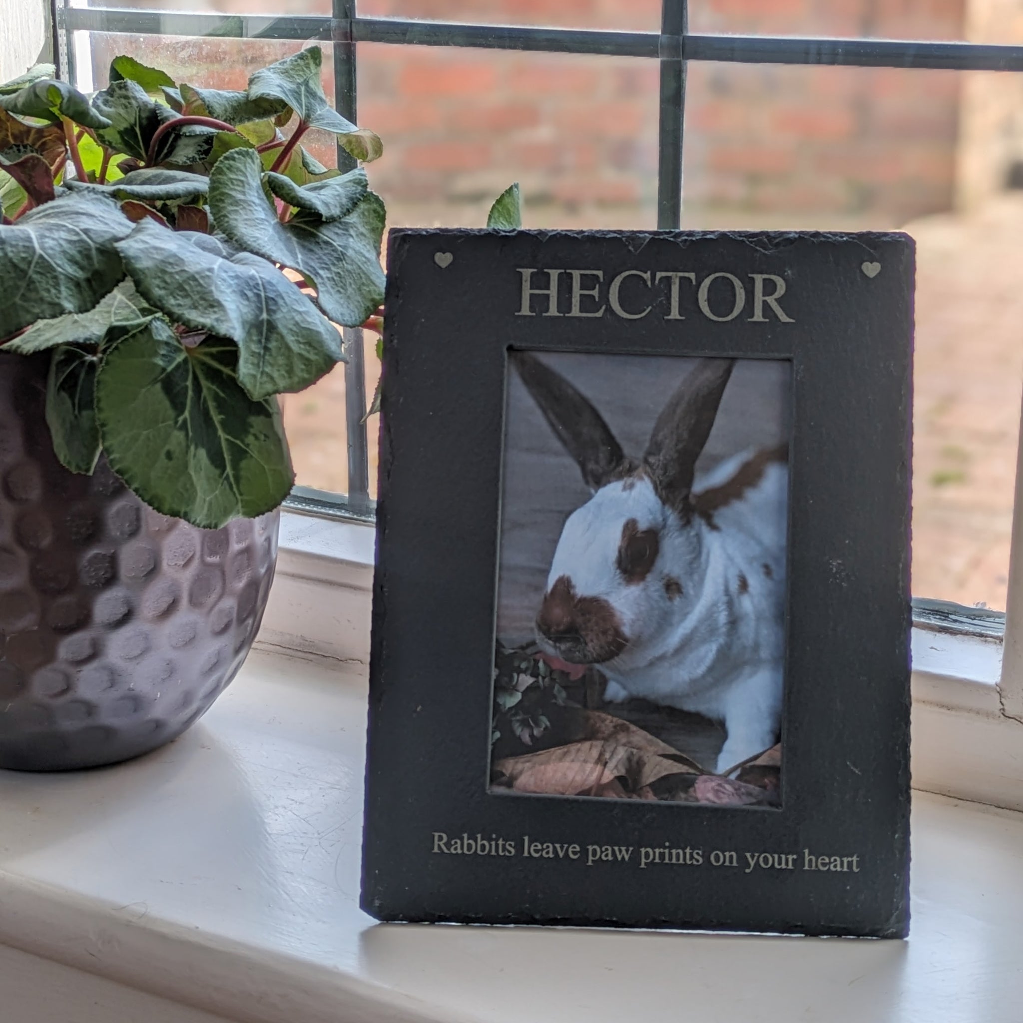 Personalised Rabbit Photo Frame – Everything Bunny Rabbit