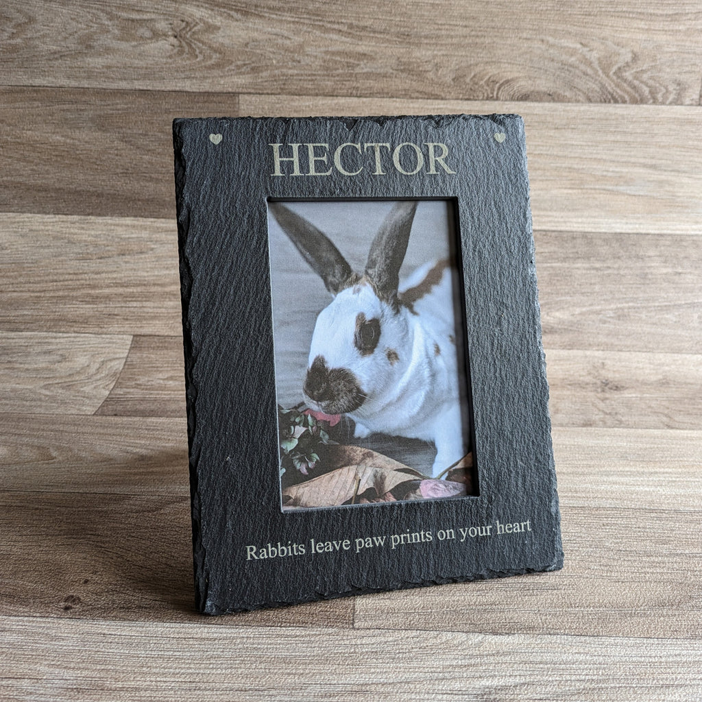 Frame Rabbit Pet Pet Rabbit Photo Frame