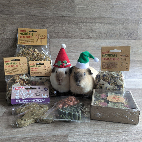 Rosewood Cupid and Comet Gingerbread Man Festive Gnaw Rabbit Treat