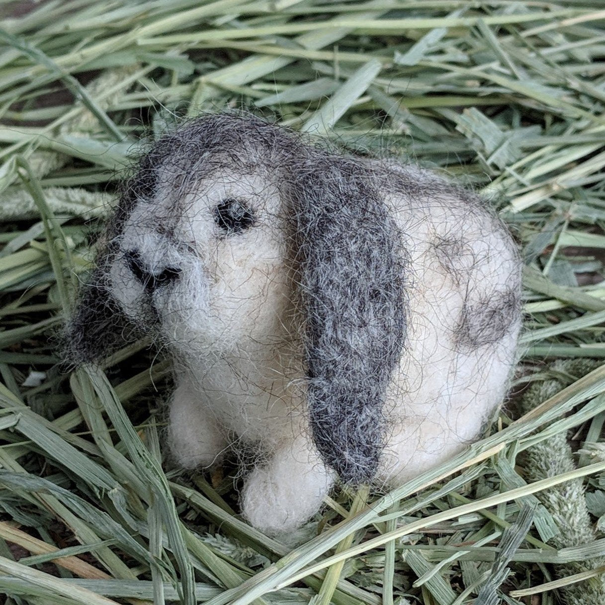 Flora the Lop Needle Felted Rabbit Kit