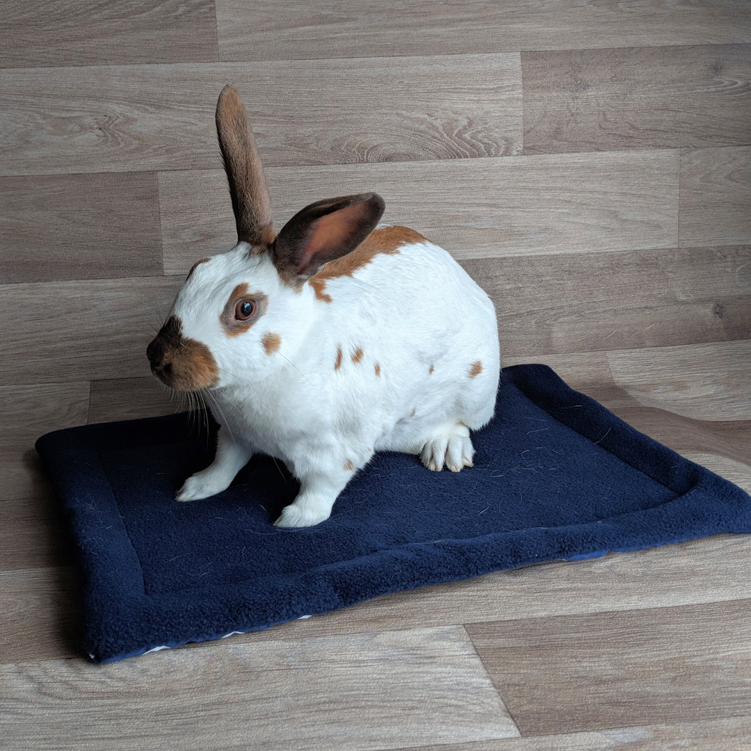Shop Blue Rabbit SHOP FOR YOUR RABBIT – Everything Bunny Rabbit
