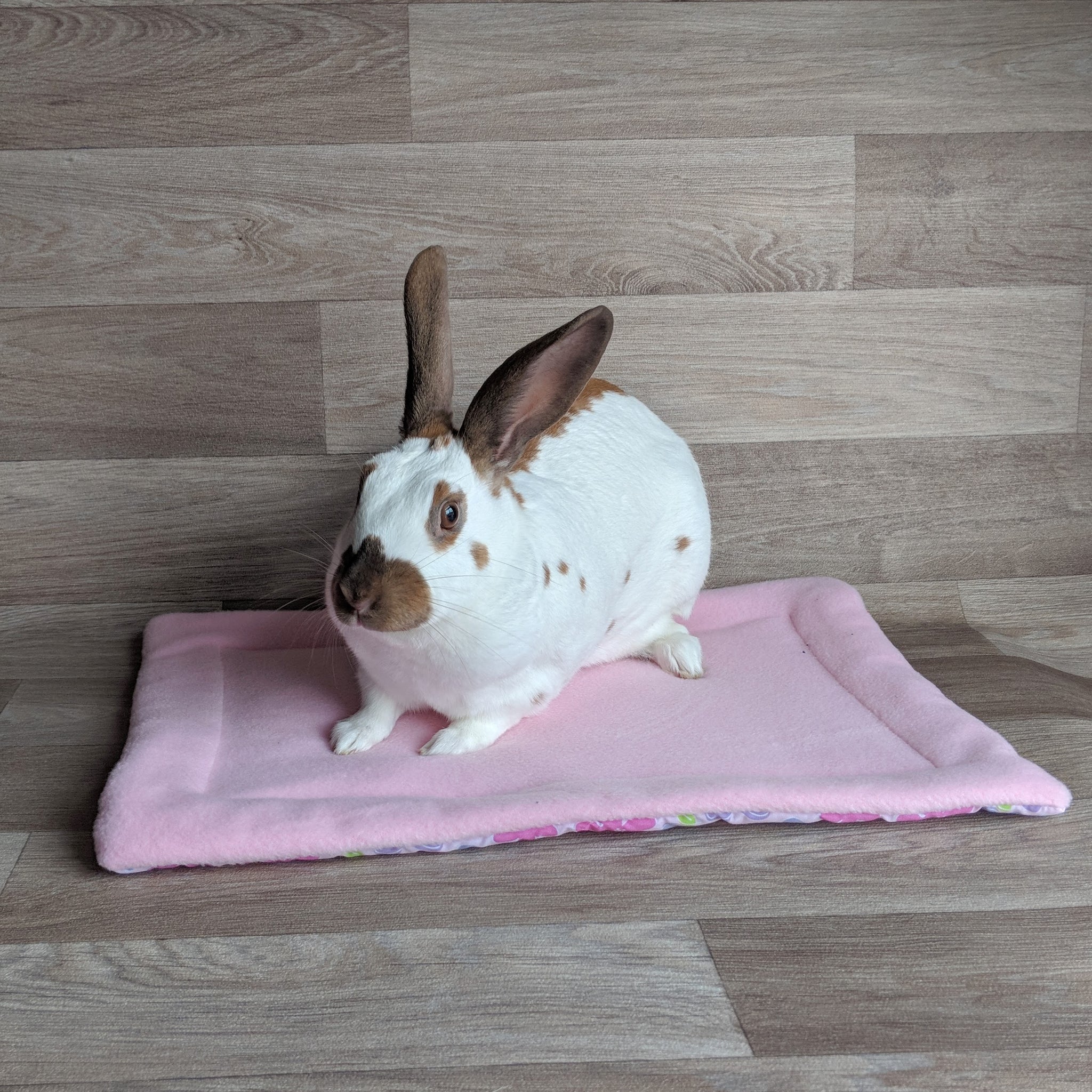 Rabbit Lap Protector [Pink]