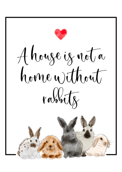 Rabbit Poster Print - A house is not a home