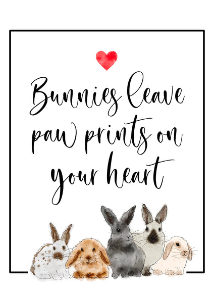 Rabbit Poster Print - Paw Prints