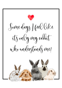 Rabbit Poster Print - Some days I feel